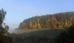 BILD2826.JPG.d43bb156de73a4ab797d6056b4d20ade.JPG