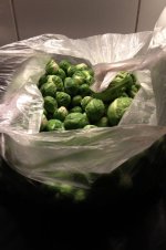 Rosenkohl.jpg.1f774a5ec37374b7baa60dd3a885c1e6.jpg