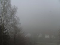 BILD2930.JPG.f80b7a2b5a972e425dae3f979d6ff62d.JPG