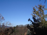 2.12.2015-3.jpg.7629f0734c3d26da4d3fb374720d15a7.jpg