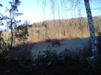 14.12.2015-2.jpg.43767bb369038606f4f76afc0f6e3567.jpg