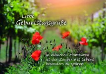 5679b03e179d8_grne-Geburtstagsglckwnsche-Wiese-mit-Blumen.jpg.3e5de17430538aec2878576cef9b0f15.jpg