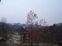 7.1.2016-1.jpg.88572f2e9e3536cfe75eb7ba63682b23.jpg