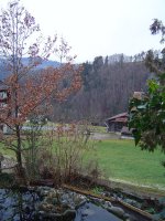 7.1.2016-2.jpg.bba4a7e0af94e4e5013b80034607e318.jpg