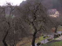 BILD3064.JPG.dbbeb00de7d8d3611f1c4b50622da180.JPG