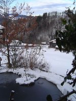 14.1.2016-4.jpg.cfd0b63ee60484933e2f9af6d42d2ecb.jpg