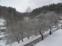 BILD3095.JPG.51ea95b9f57f8df0dc13fbda3845566e.JPG