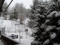 BILD3097.JPG.0371e6d32f8de23df13b3f217e186063.JPG