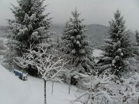 BILD3115.JPG.9e5ab7da84e3bf688f12bf69e65dacc7.JPG
