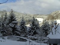 BILD3122.JPG.b856fb1ece3cc83af1ad33189cf4d840.JPG