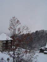17.1.2016-4.jpg.fc1f1016d35f4e36befcf0b8ea458317.jpg