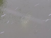 BILD3123.JPG.c8d4b61c92486ec650ab7c4399f85355.JPG