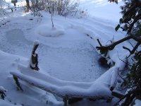 22.1.2016-2.jpg.c611492c80b1bd54ddda145beb934377.jpg