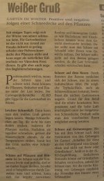 BILD3138.JPG.377e2407fb50eb21a61561e3f6adcf77.JPG
