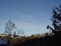 25.1.2016-1.jpg.e17161a4f833f370f011834c6889ec24.jpg