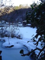 25.1.2016-3.jpg.132296454cd079f60e8a00789b56f1b6.jpg