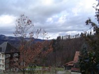 1.2.2016-1.jpg.ee85ec6541764fc9bc8e83ebcb752da7.jpg