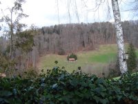 1.2.2016-3.jpg.6a473519874376055beec8f7f45dd3bb.jpg