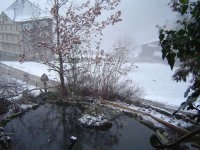 3.2.2016-1.jpg.8d5d086a05e28bd469cdb3065dbeb4af.jpg