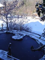 12.2.2016-2.jpg.f6cd2b6fb7a518eb7fe24f5df4fc673e.jpg