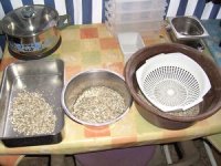 BILD3234.JPG.d53ce8503ac24ac0cfc277c68c4c2a18.JPG