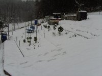BILD3241.JPG.785860401e303adfc51a88475057214c.JPG