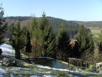 BILD3267.JPG.302d46fd5d7581fb71d7caa3110d4b6b.JPG