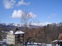 7.3.2016-1.jpg.2f7f7d8d09faae98d293d5cc6dea759d.jpg