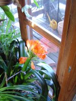 7.3.2016-4.jpg.c6f6f9e87cf50ee57d02e67a4f4cf62a.jpg