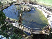 teich-17.3.2016-6.jpg.daa74374597cc028eaffaa31abdec0c8.jpg