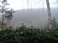 21.3.2016-3.jpg.8cbf77f07eae48301d651a1bf7228d6a.jpg