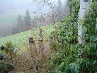 21.3.2016-5.jpg.b25a852ab98956569714c4980b528d17.jpg