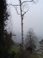 21.3.2016-6.jpg.43c710ab7a690f6bddb5e45631e537be.jpg