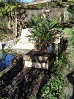 28.3.2016-6.jpg.eccc636df4f320fca23ce652051e66f2.jpg