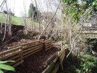 garten-31-3-2016-1.jpg.5700626db03af7f8a5c980fac3045b90.jpg