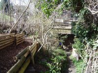 garten-31-3-2016-2.jpg.e2ad21dde98fa6db62f37fe1197ef60a.jpg
