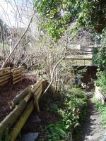 garten-31-3-2016-3.jpg.f9e6913091b34e42d78677a39718fcf1.jpg