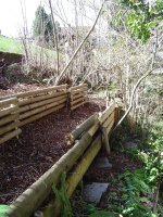 garten-31-3-2016-4.jpg.11fff0dd02a8275724ba8a43ed545a3d.jpg