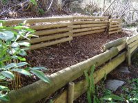 garten-31-3-2016-5.jpg.4ae3877663df92d70a0b6eb55cd499db.jpg
