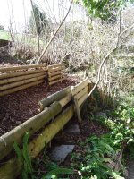 garten-31-3-2016-7.jpg.bfb0c5733c93e08160c58d50c462b727.jpg