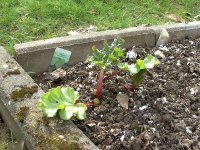 BILD3471.JPG.5ad62026db9e478ec53ac42d9d462ccf.JPG