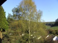 BILD3639.JPG.4ea281ab01395daefa14b4f38f6bc82c.JPG