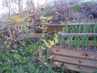 22.4.2016-Garten-1.jpg.c6ad55df4652367276bb12fbaf28d715.jpg