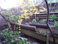 22.4.2016-Garten-2.jpg.c4c7279f1d5f3021795c66268e0db0c7.jpg