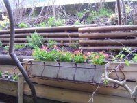 22.4.2016-Garten-3.jpg.6df2e85ec5f6653faff93735647f5dd5.jpg