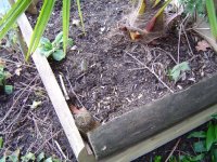 22.4.2016-Garten-9.jpg.fea35dec09c5b4b71a10edaca322aa04.jpg