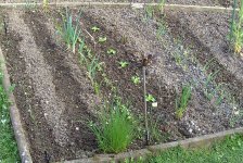 BILD3687.JPG.fa6abad153e217c282dccb3237e600fe.JPG