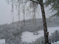 25.4.2016-1.jpg.5c3293c6edd10c1c1f8c0c638a01e995.jpg