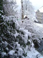 25.4.2016-3.jpg.de040e16243e0305bb70b2c206254f33.jpg