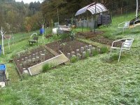 BILD3700.JPG.34754b8b9884101d7d6996355d68fb35.JPG